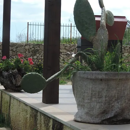 Agape Holiday home Lido di Noto